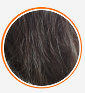 雜亂，松散，枯黃，難受