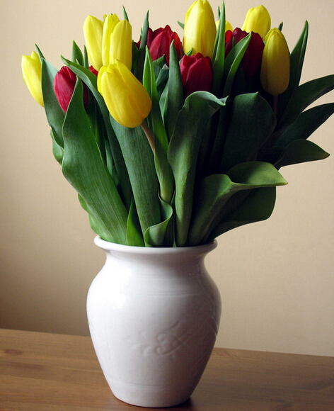 蘭陵美酒郁金香，擺在客廳會致禿頂！