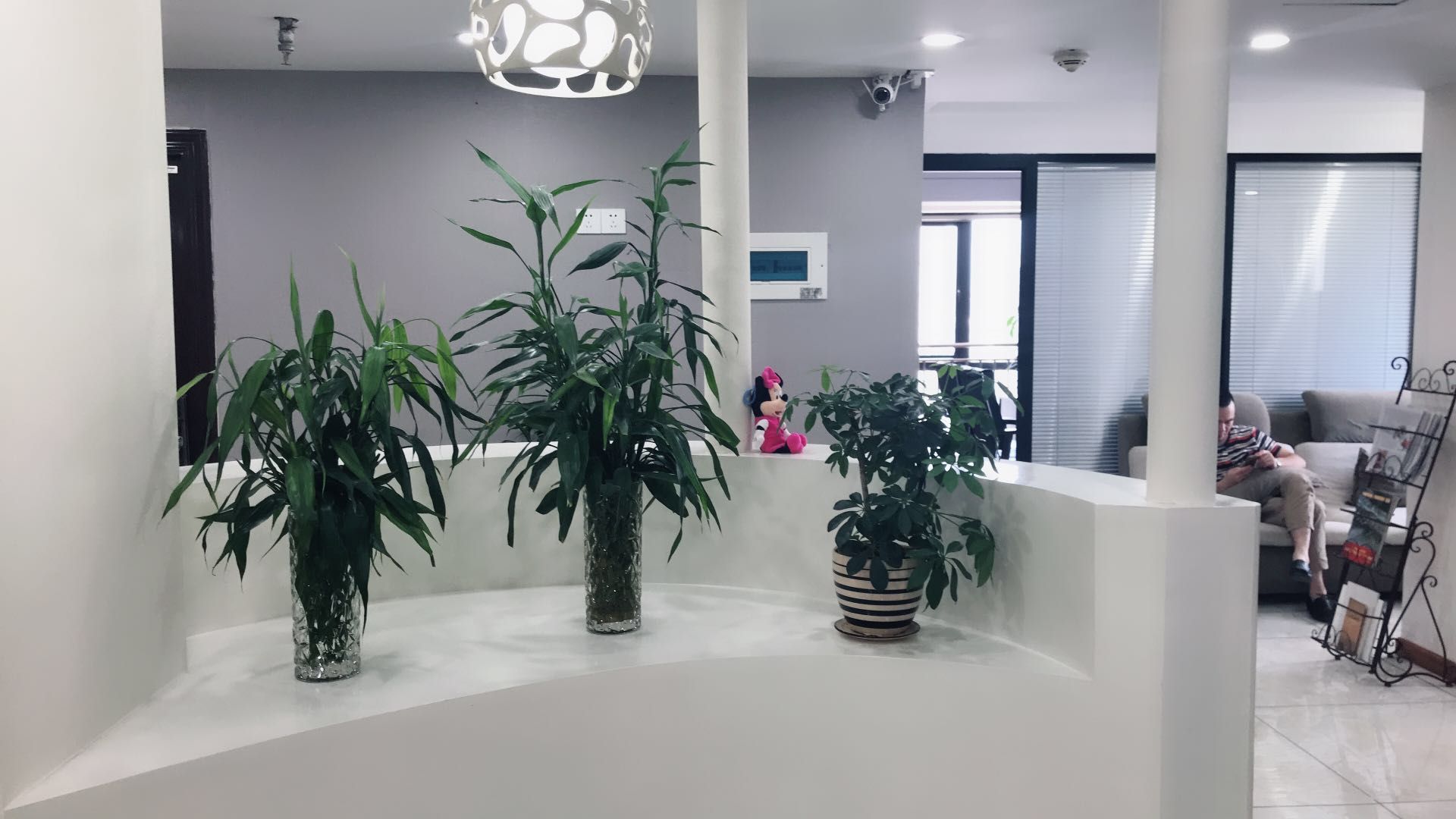 高大上！唐風(fēng)采福州店裝修升級(jí)換新容，歡迎新老客戶惠顧~