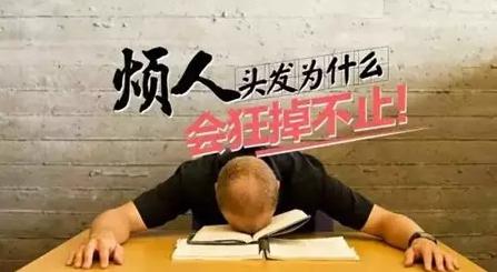 最近很少晚睡，脫起發(fā)來卻沒商量！